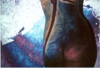 /album/metamorfose/foto-l-jpg/